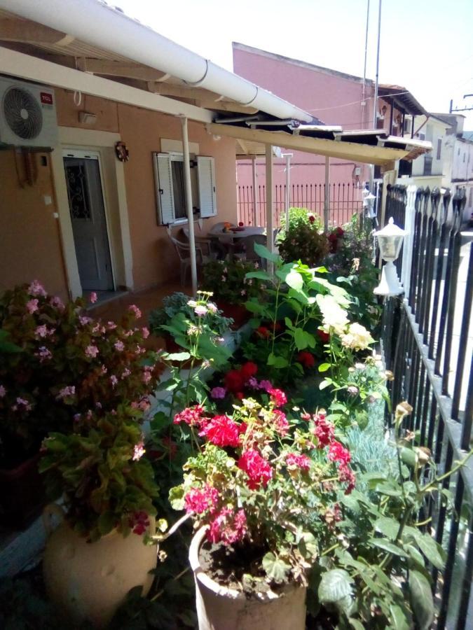 Angela, Traditional In The Village * Agios Ioannis Peristeron (Corfu)