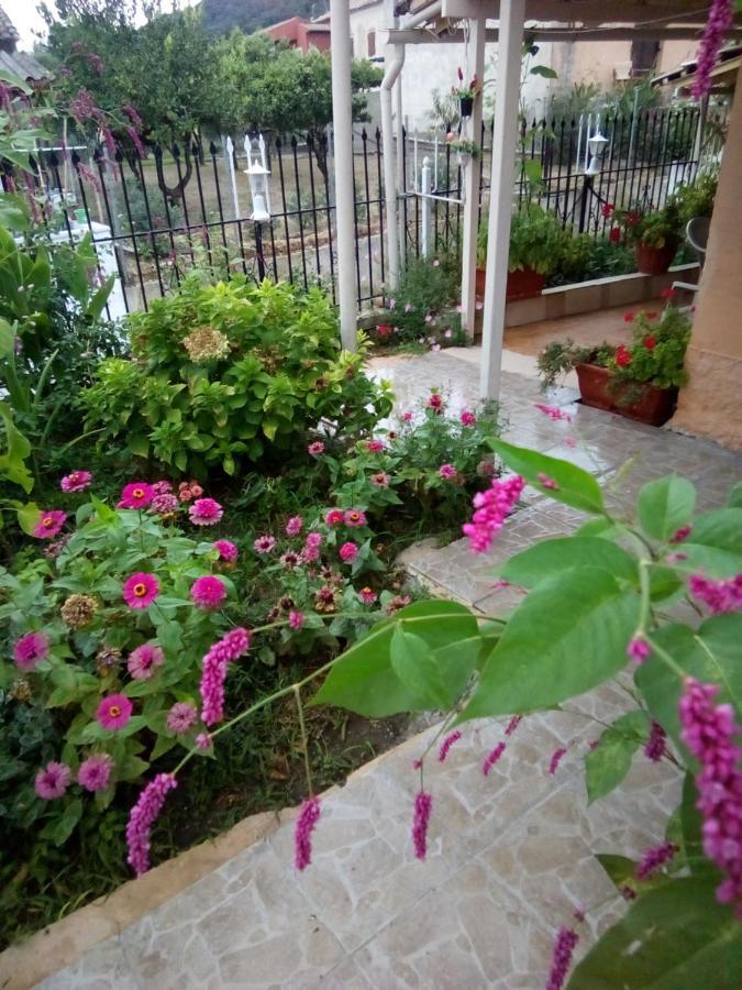 Holiday home Angela, Traditional In The Village Agios Ioannis Peristeron (Corfu)